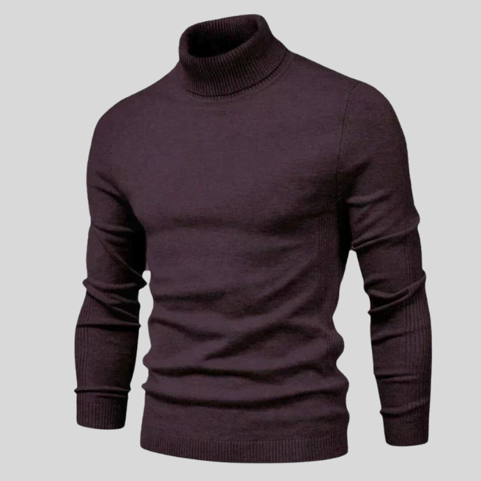 Aspen | Enrique | Lässiger Rollkragenpullover